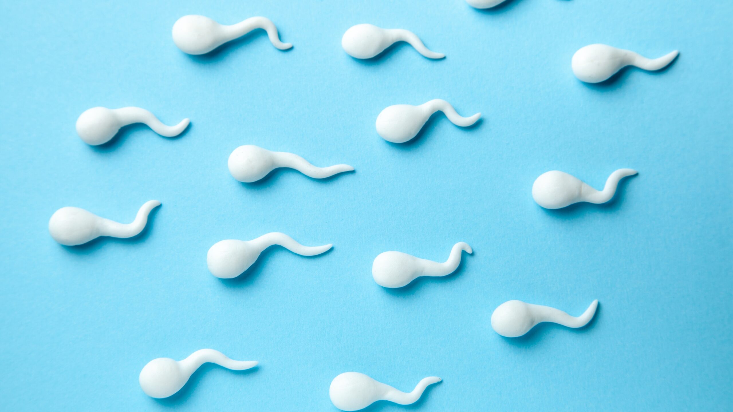 A group of sperm in front of a light blue background representing a sperm bank.