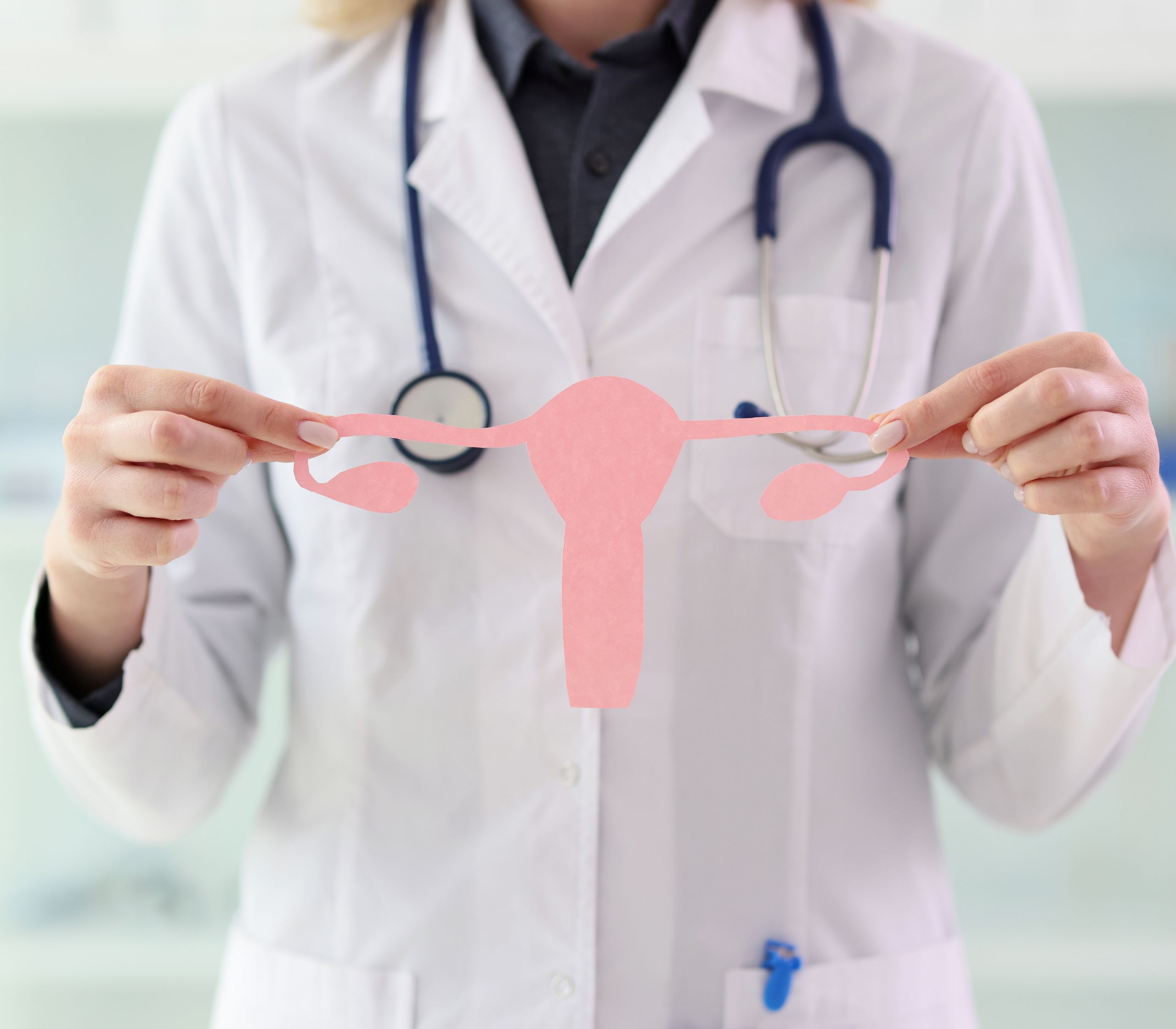 A doctor in a white lab coat holding up a pink paper cut out of the female reproductive system.