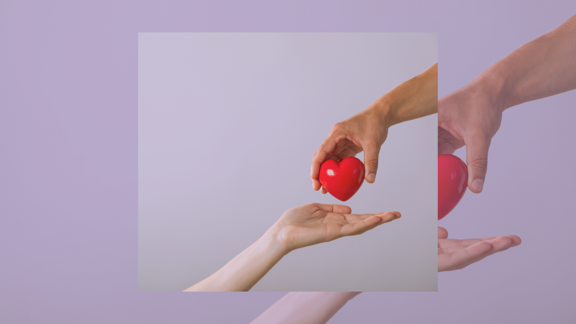 An image of a hand extended outward to receive a heart from another hand representing the theme of this blog which is egg donation disqualifiers.